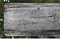 bare old wood 0026